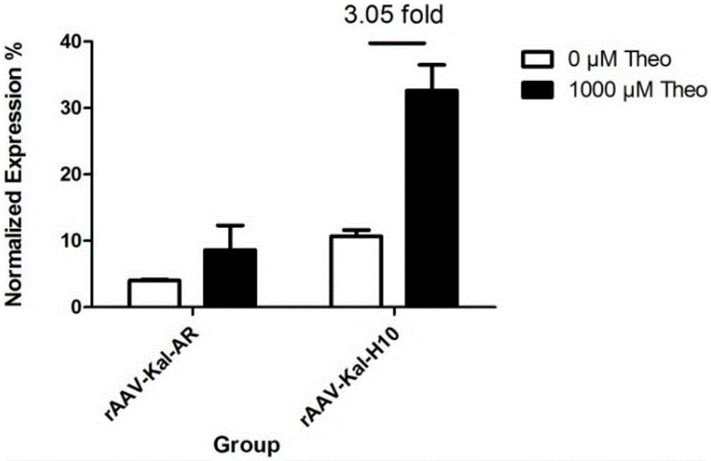 Recombinant adeno-associated virus vector capable of regulating and controlling genetic expression