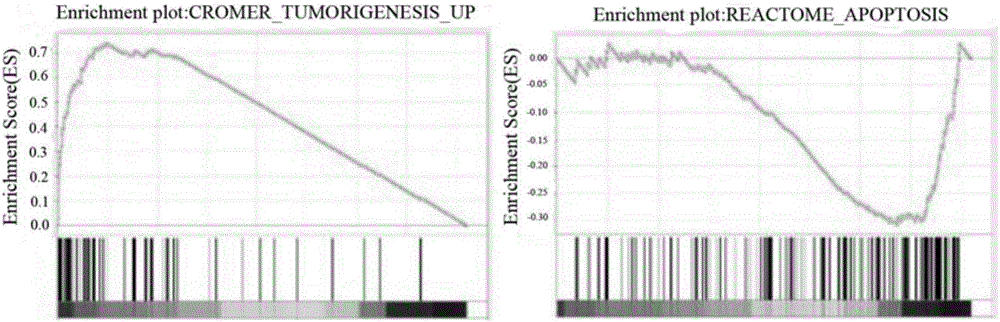 Application of TRIM66 protein in preparing non-small cell lung cancer prognosis evaluation reagent or kit