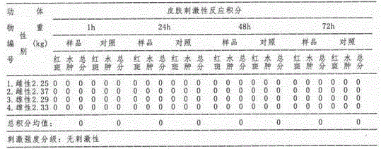 Mineral mask and preparation method thereof