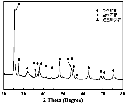 A kind of micro-nano structured photocatalytic coating and preparation method thereof