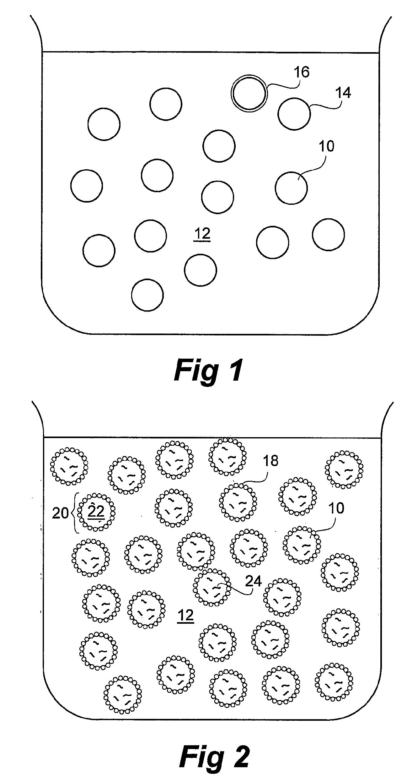 Dried Formulations of Nanoparticle-Coated Capsules