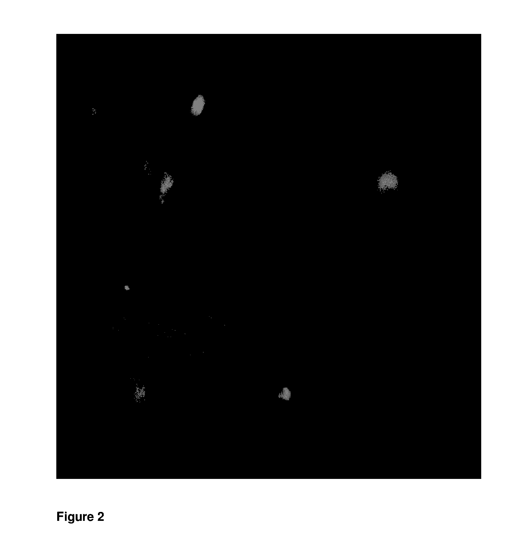 Method of providing agents to the cochlea