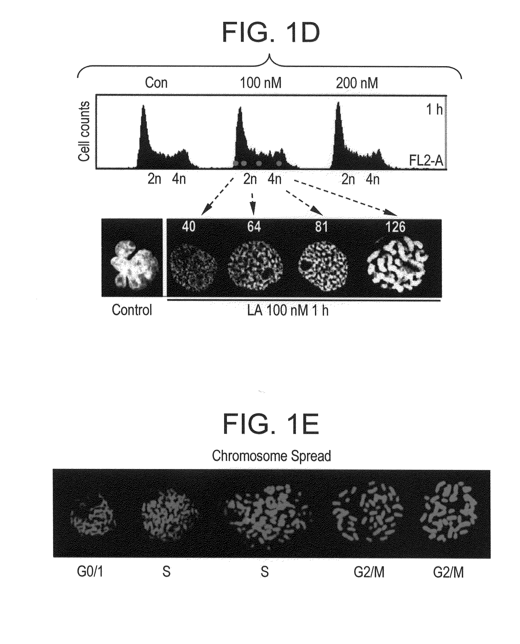 Lasonolide compounds as reagents for inducing premature chromosome condensation and methods for treating disorders