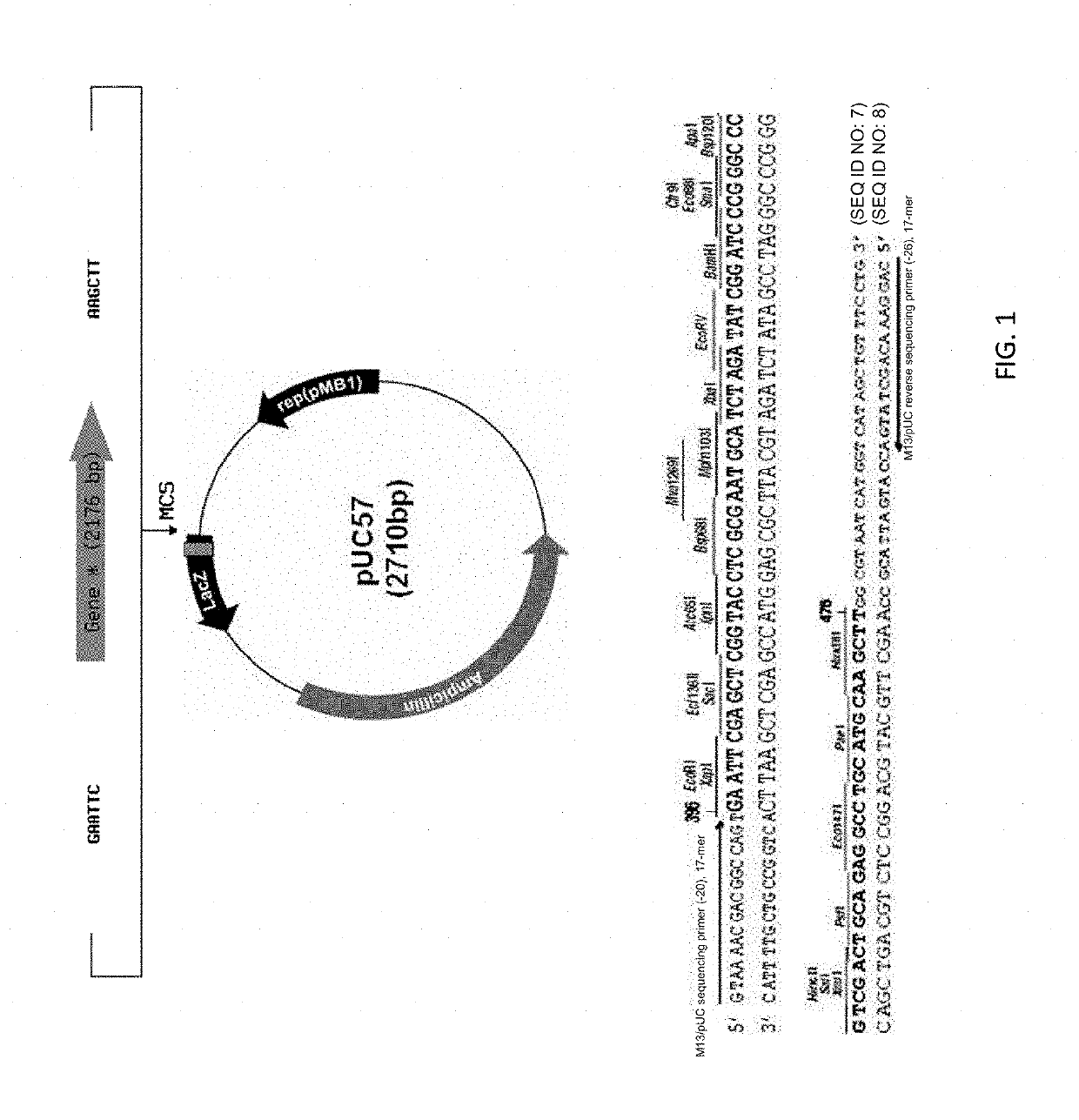 Methods and compositions for treatment of symptoms associated with intracranial hemorrhage