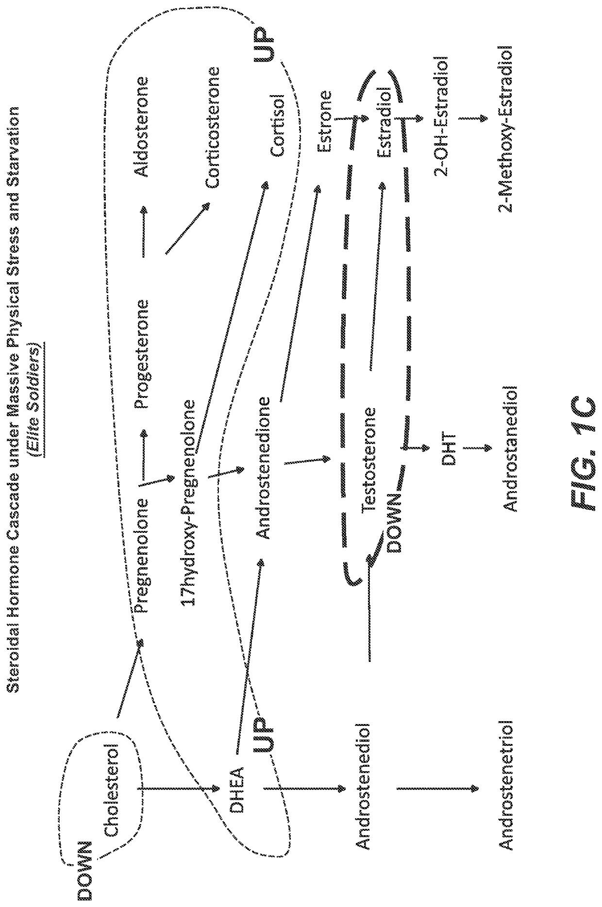 Compositions and methods to regulate hormonal cascades in stress disorders