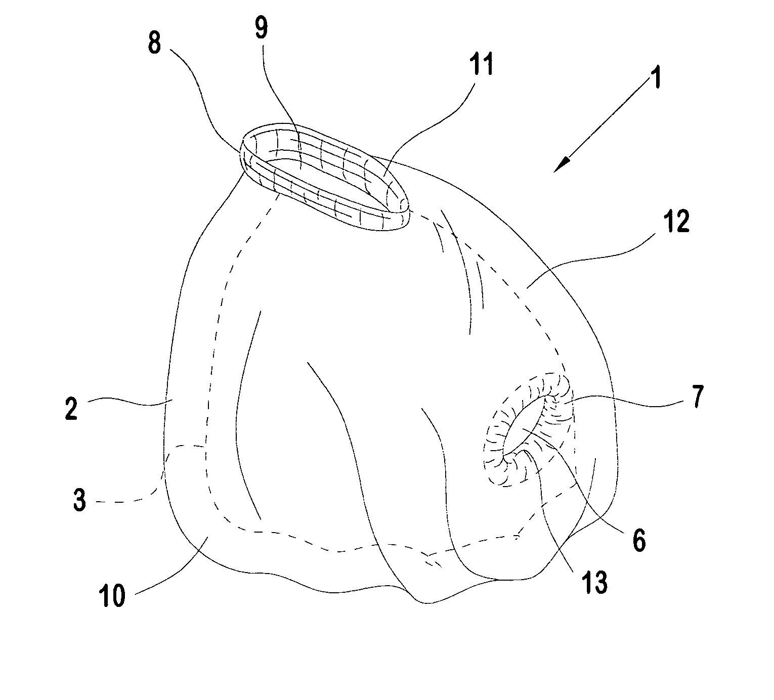 Disposable urinary collection device having elastic penis opening orthogonal to elastic hand opening