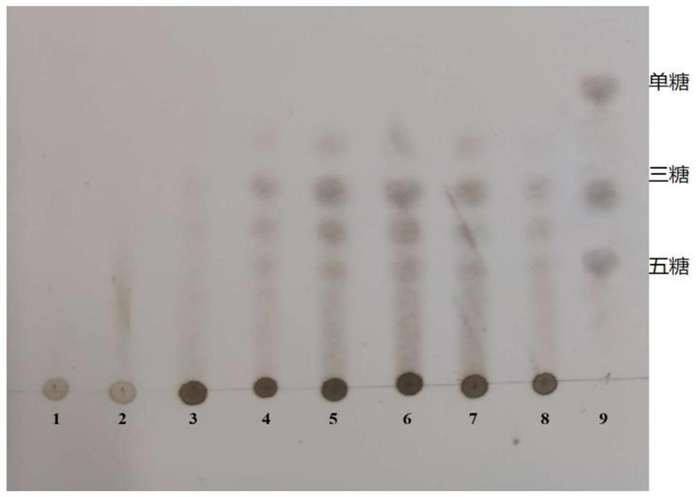 High-yield alginate lyase strain and application thereof