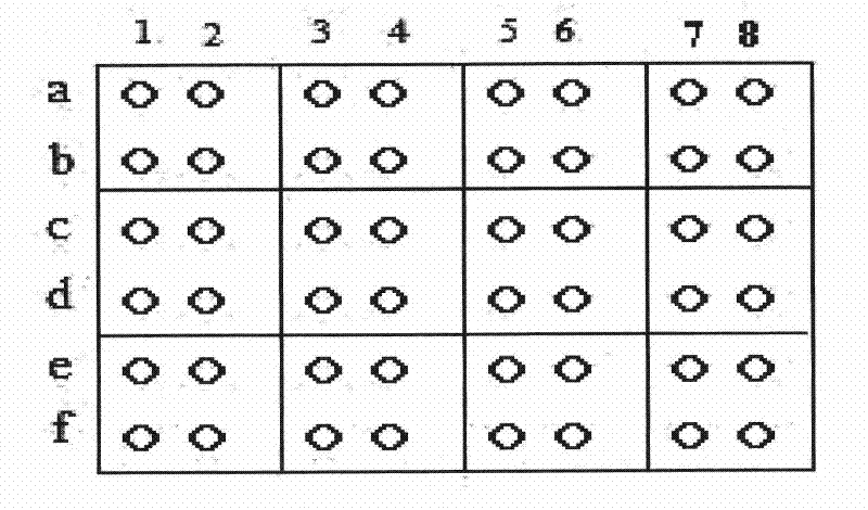 Chip for detecting human DNA repair enzyme genetic polymorphism and preparation thereof