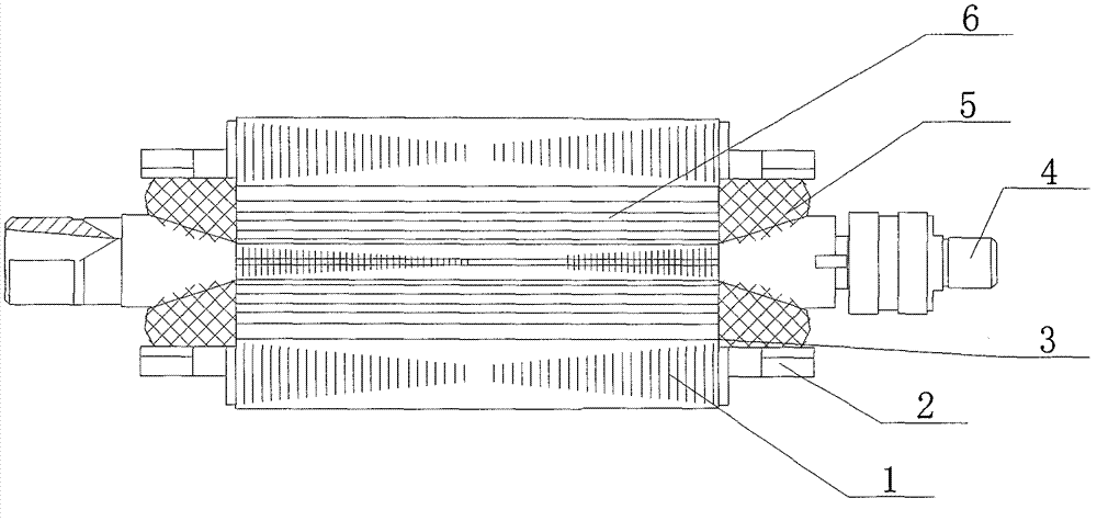 Generator rotor with radiating branch sheet blocking plates