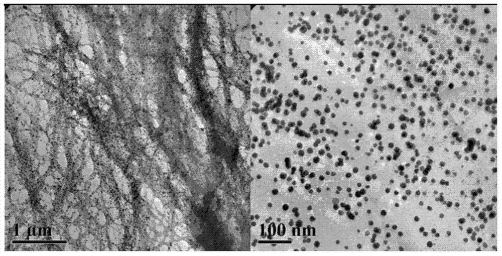 Biomass load type nano-metal catalyst and preparation method and application thereof