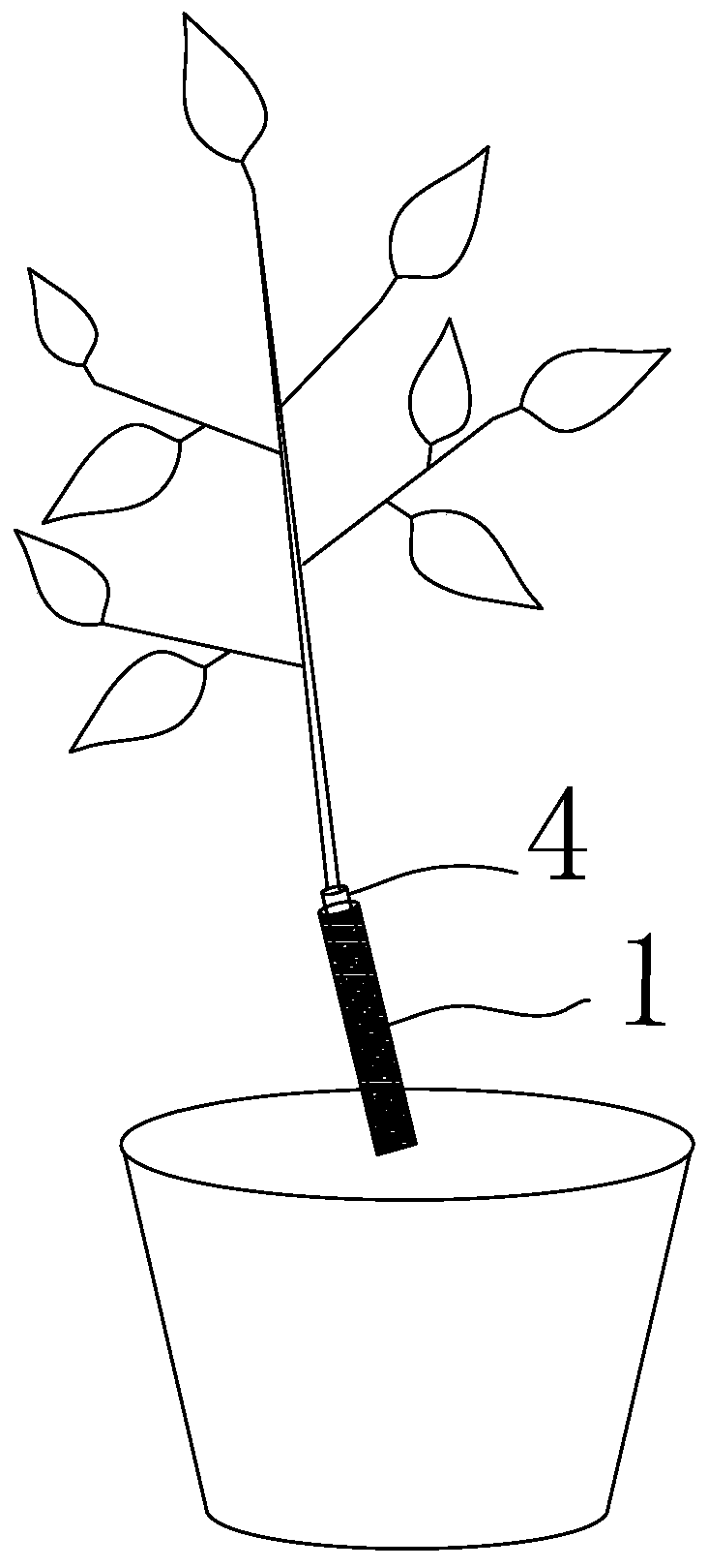 Method for preventing citrus seedling stock from sprouting tillers