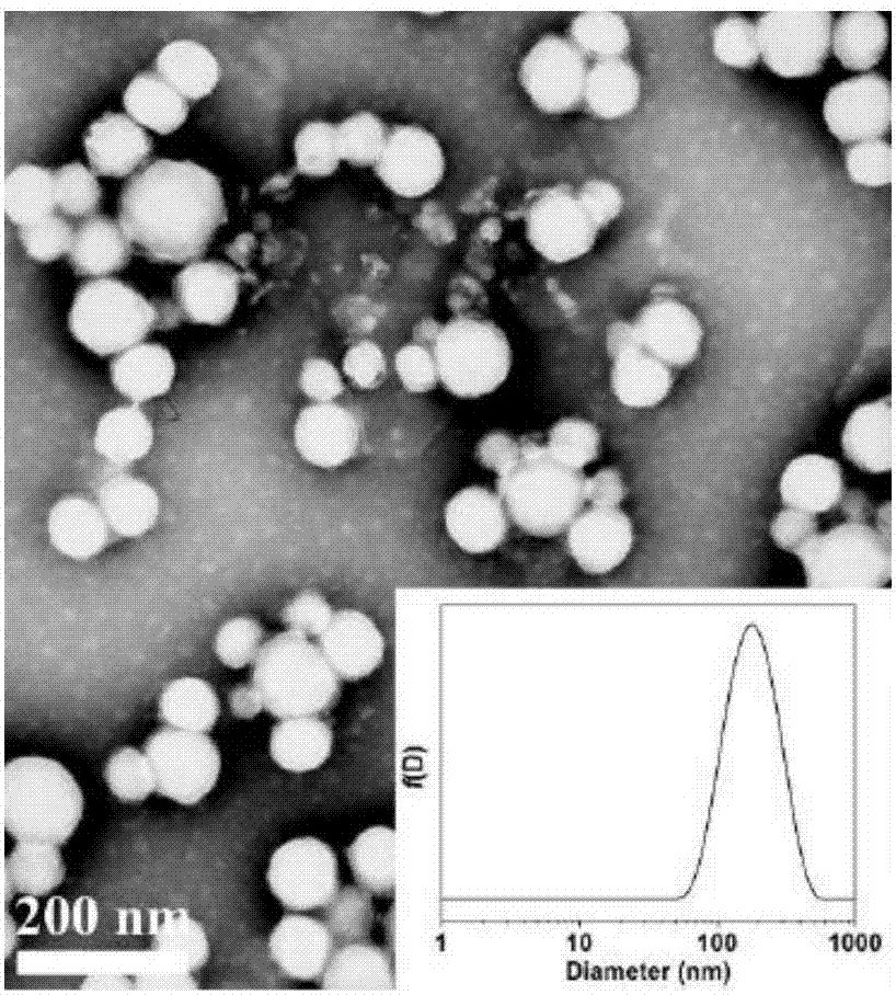 Composite nanocapsule-injectable hydrogel double-drug-loading sustained release system and preparation method thereof