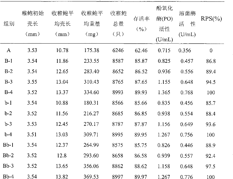 Young abalone culture method