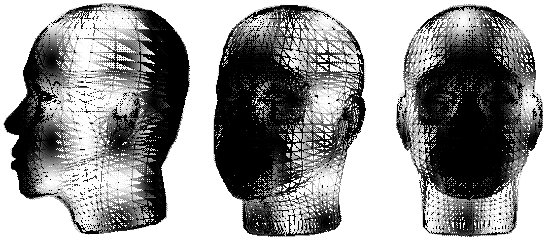 Three-dimensional head model reconstruction method
