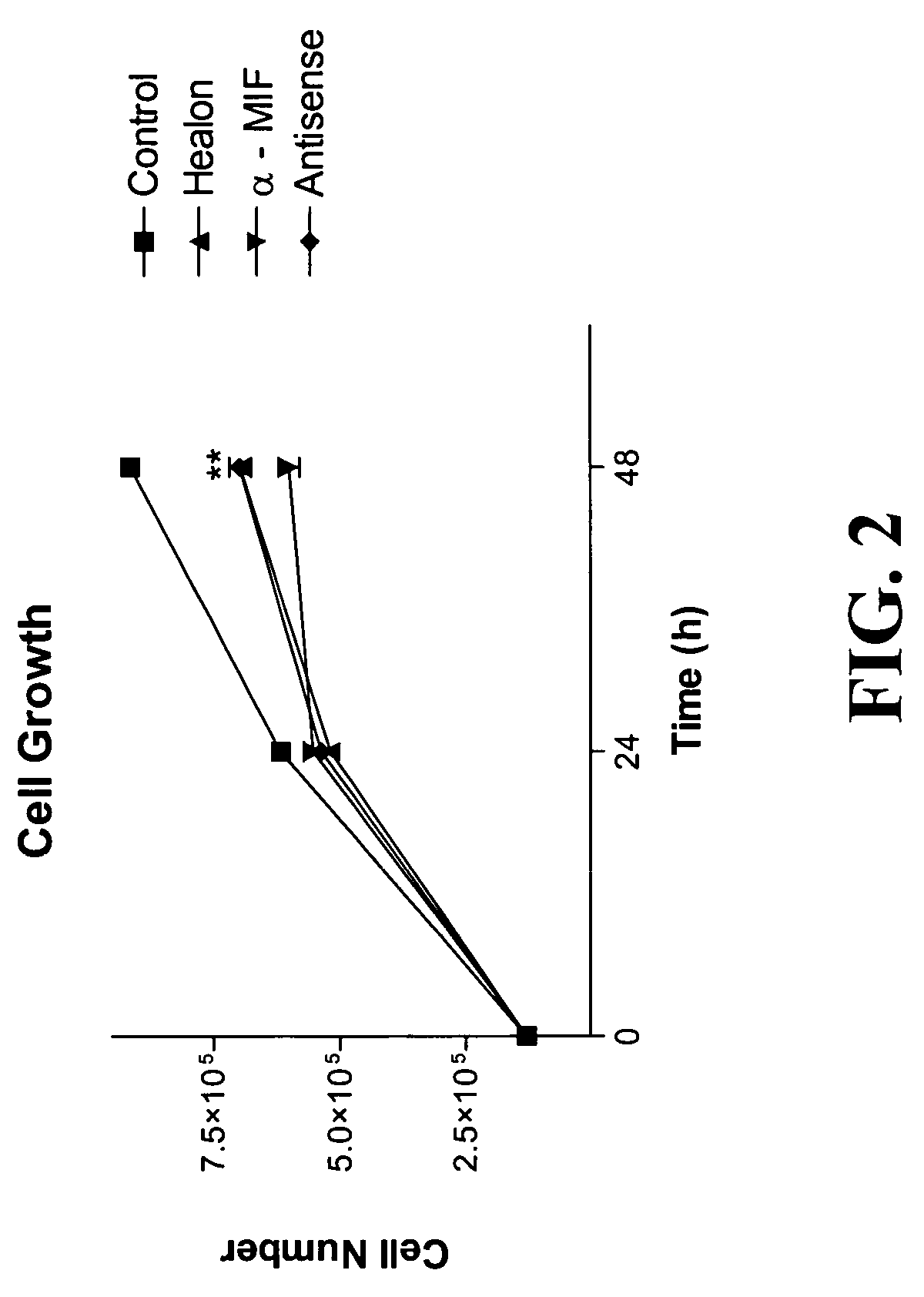 Methods for diagnosing and treating bladder cancer