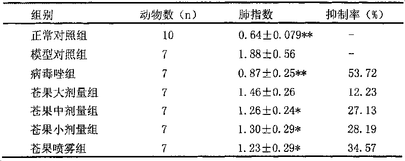 Traditional Chinese medicine preparation for preventing respiratory viral infection disease and preparation method