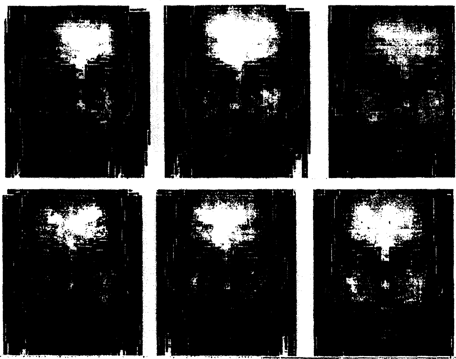 Robust face registration via multi-face prototypes synthesis