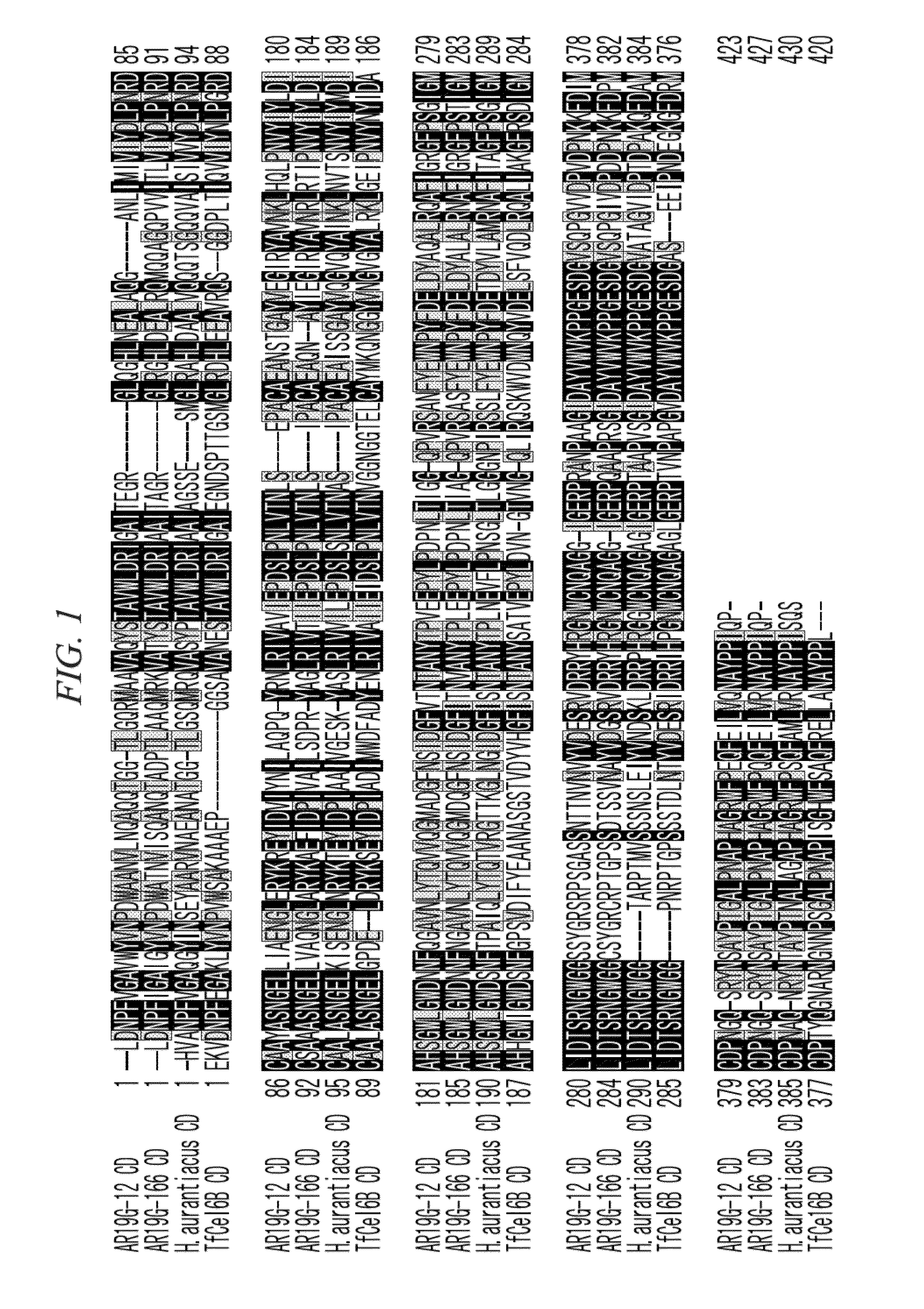 Thermostable cellobiohydrolase and amino acid substituted variant thereof