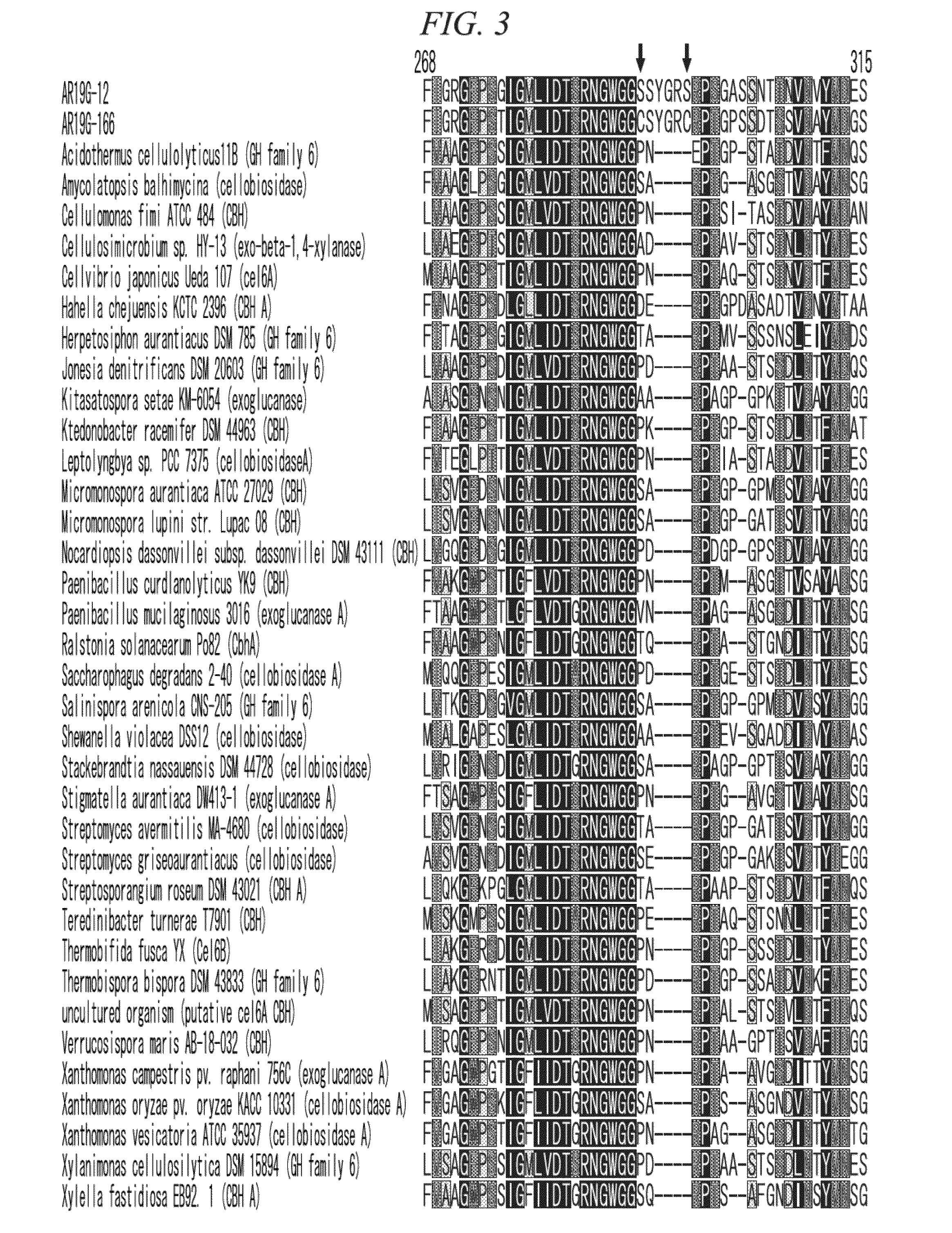 Thermostable cellobiohydrolase and amino acid substituted variant thereof