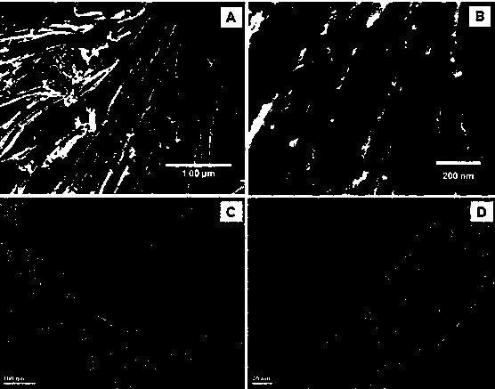 Preparation method and application of ordered mesoporous carbon nanofiber array material