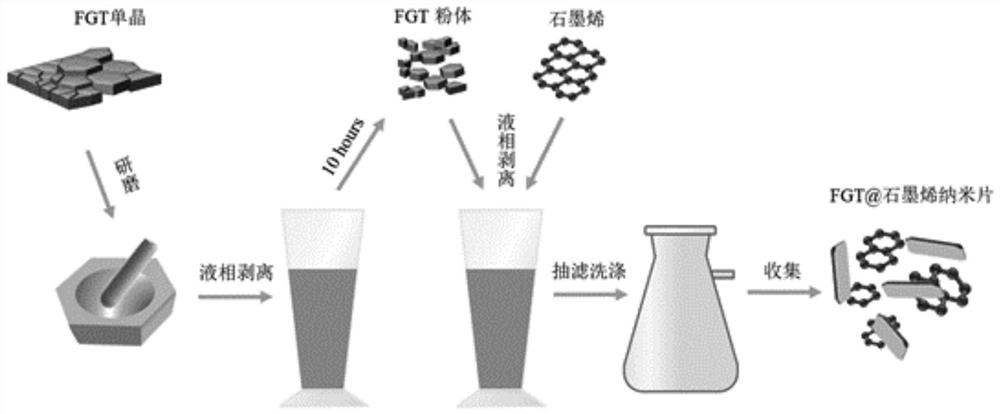 Two-dimensional magnetic Fe3GeTe2 nanosheet and graphene nanosheet composite material as well as preparation method and application thereof