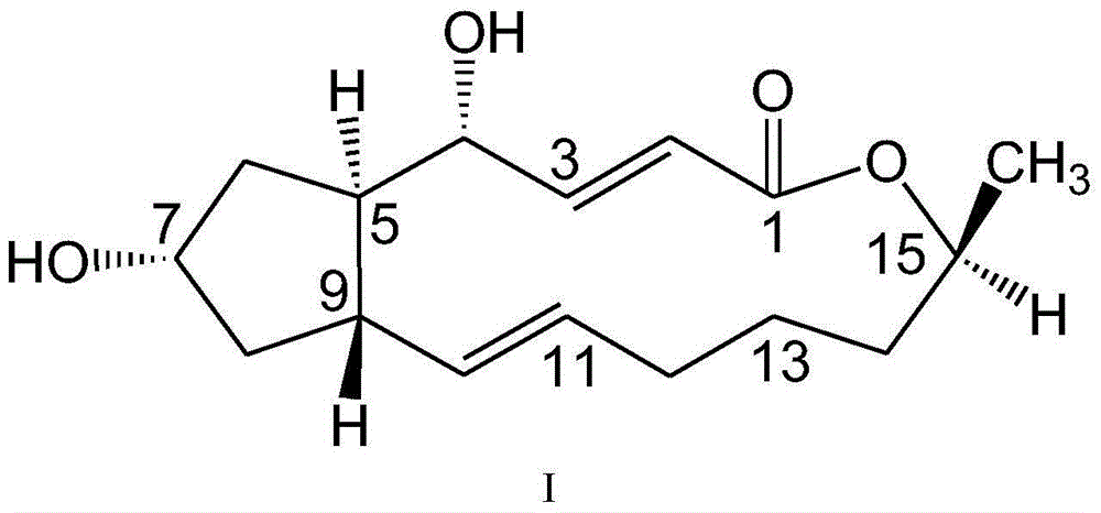 7-amide-brefeldin a derivative as well as preparation method and application of 7-amide-brefeldin a derivative