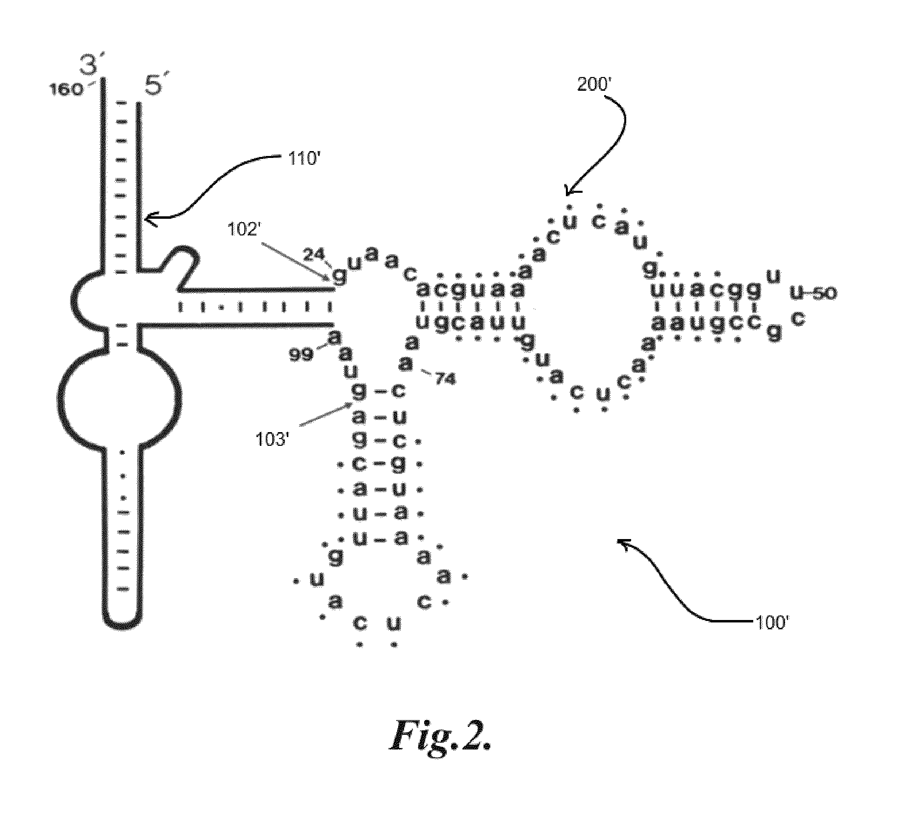 Functional nucleic acids and methods