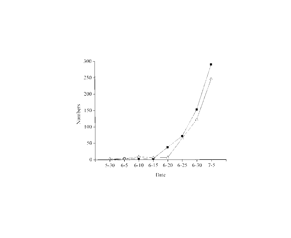 Method for predicting cotton aphid population quantity in short term