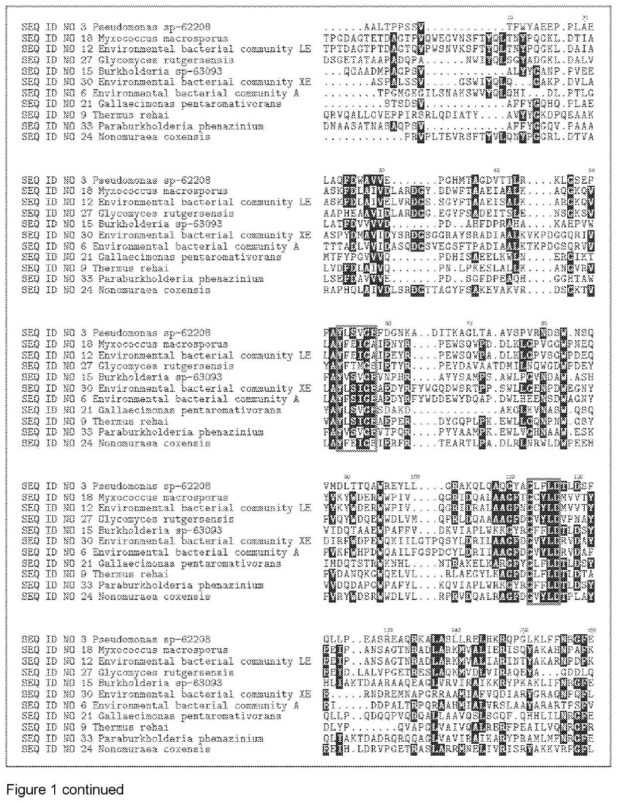 Glycosyl hydrolases