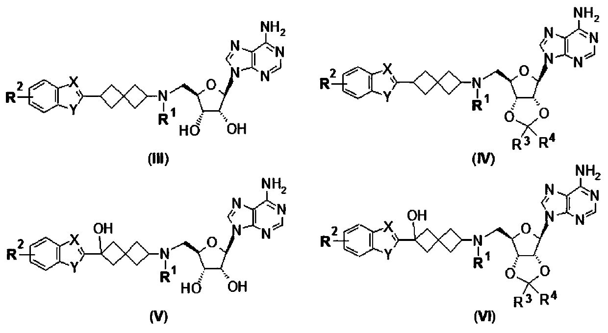 Purine compound containing bicyclic group, and preparation method thereof