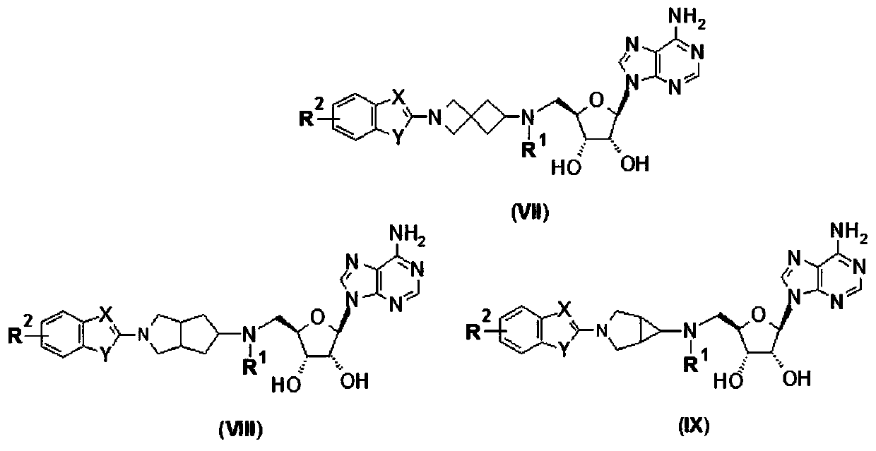 Purine compound containing bicyclic group, and preparation method thereof