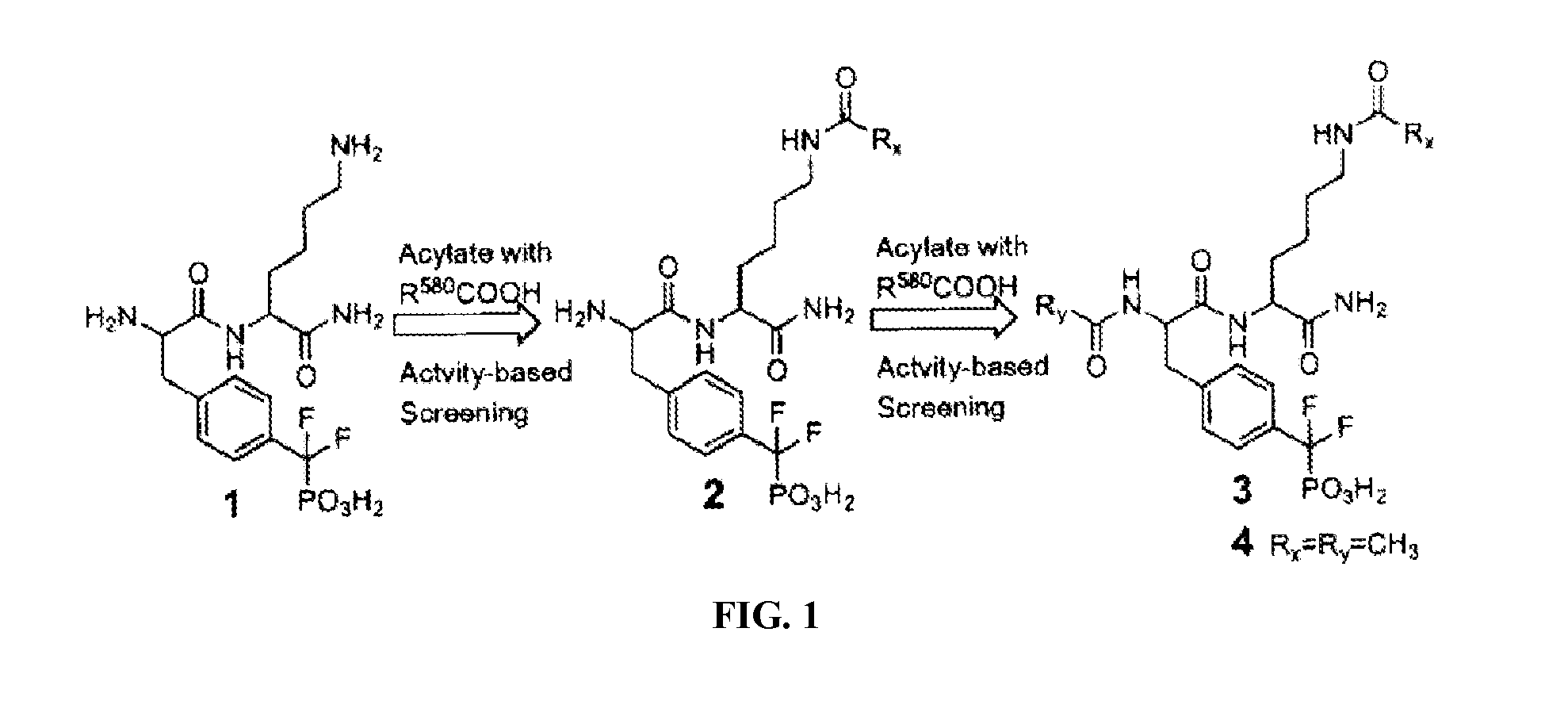 Inhibitors of protein tyrosine phosphatases