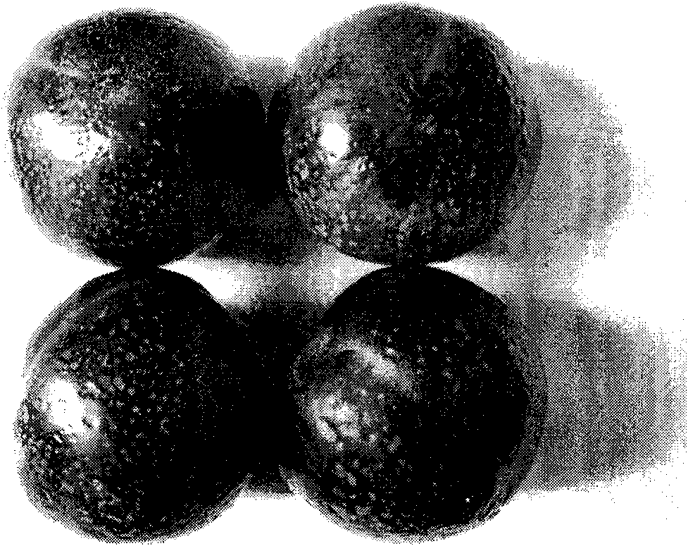 Method for storage and transportation of plum fruits