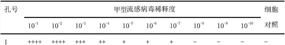 Traditional Chinese medicinal preparation for treating infant respiratory tract infection and preparation method thereof