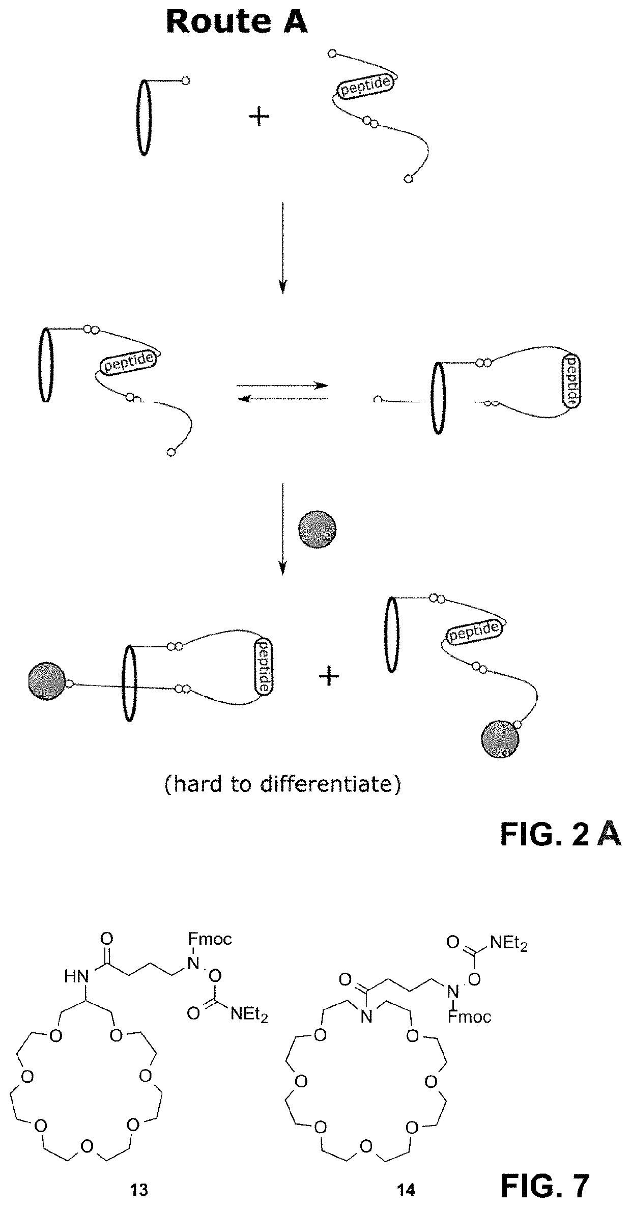 Lasso structures and their synthesis