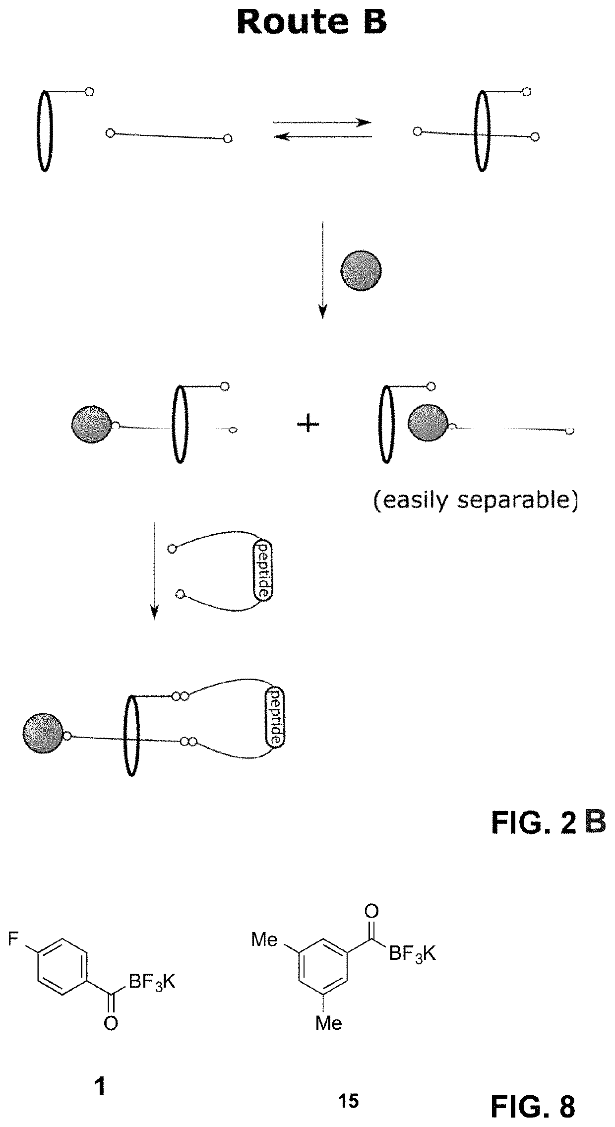 Lasso structures and their synthesis