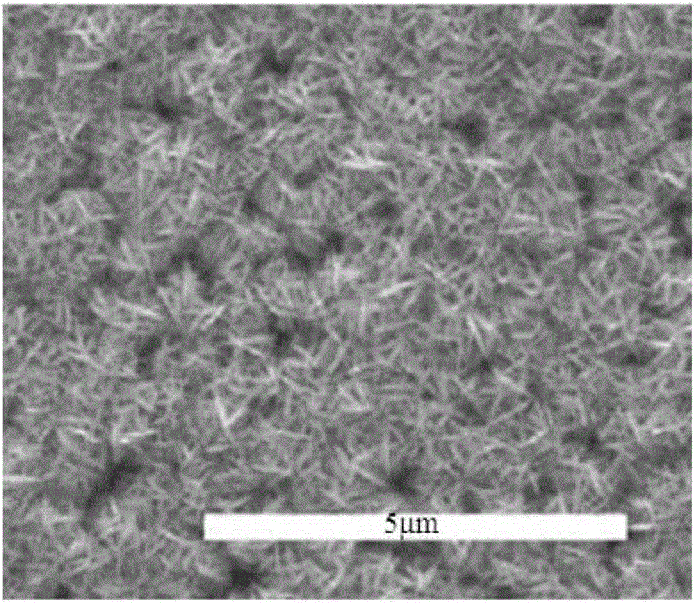 Preparation method of high polymer based metal nano particle composite SERS substrate material