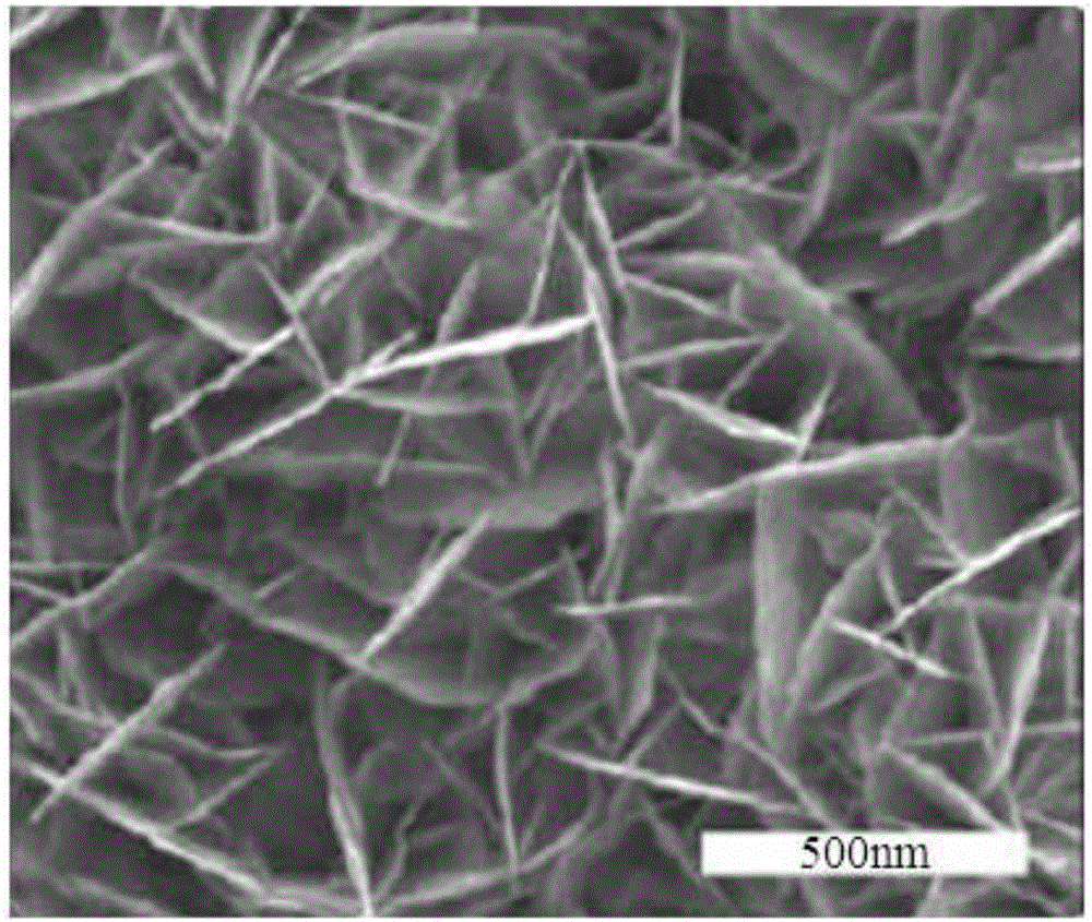 Preparation method of high polymer based metal nano particle composite SERS substrate material