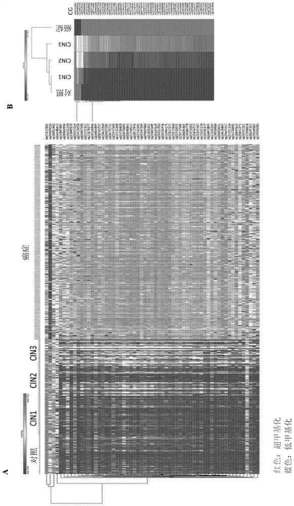 DNA methylation biomarkers for early detection of cervical cancer