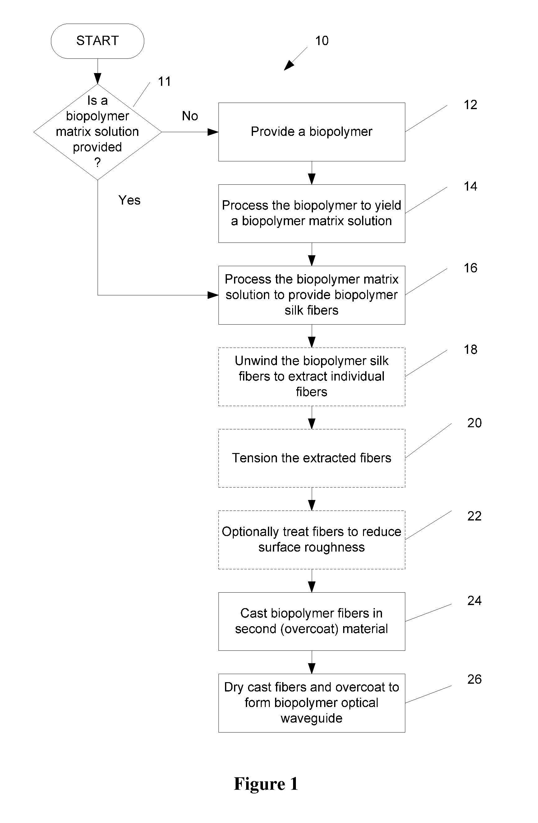 Biopolymer optical waveguide and method of manufacturing the same