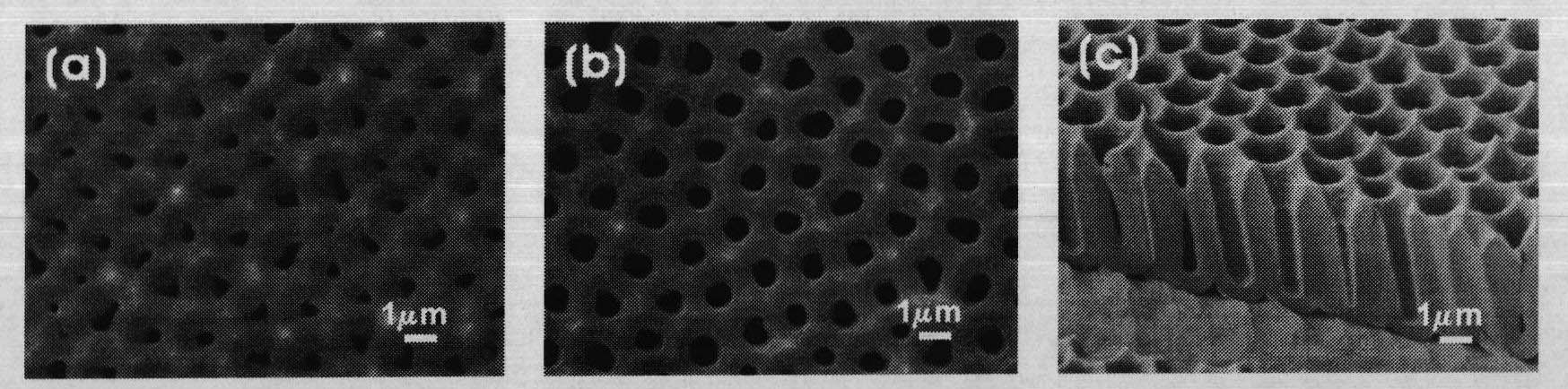 Method for preparing overlarge crystal-cell porous pellumina