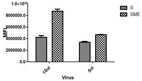 COVID-19 pseudovirus as well as preparation method and application thereof