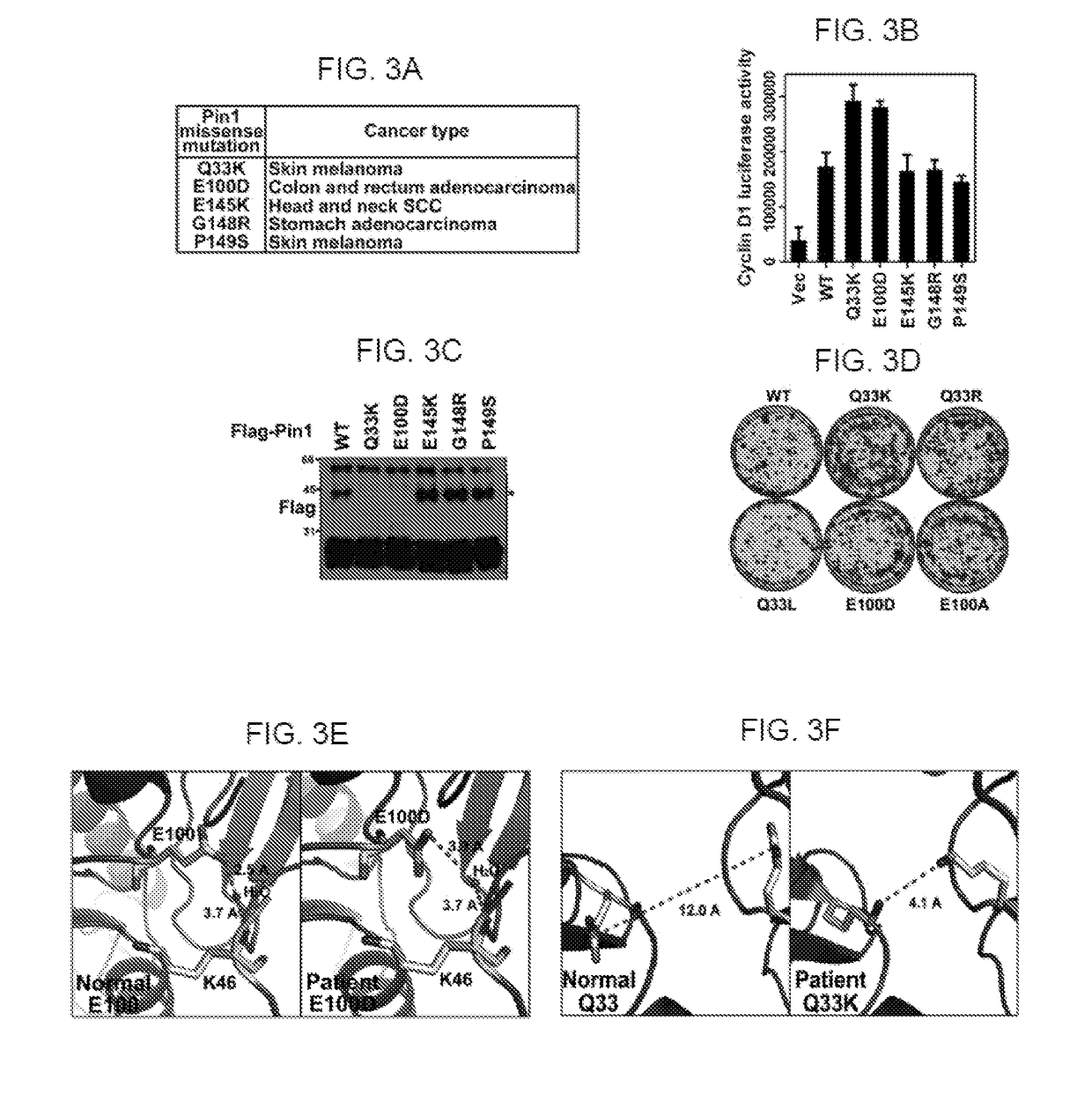 ATRA for modulating Pin1 activity and stability