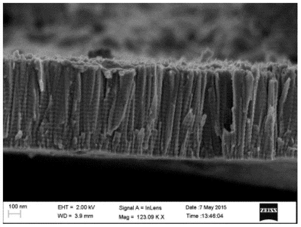 A back electrode structure of flexible cigs thin film solar cells