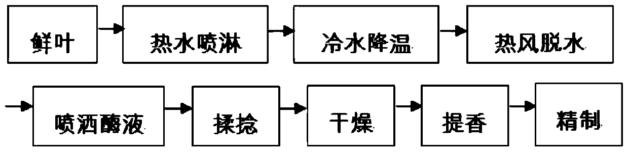 Processing technology of low-caffeine, high-aroma and non-astringent tea