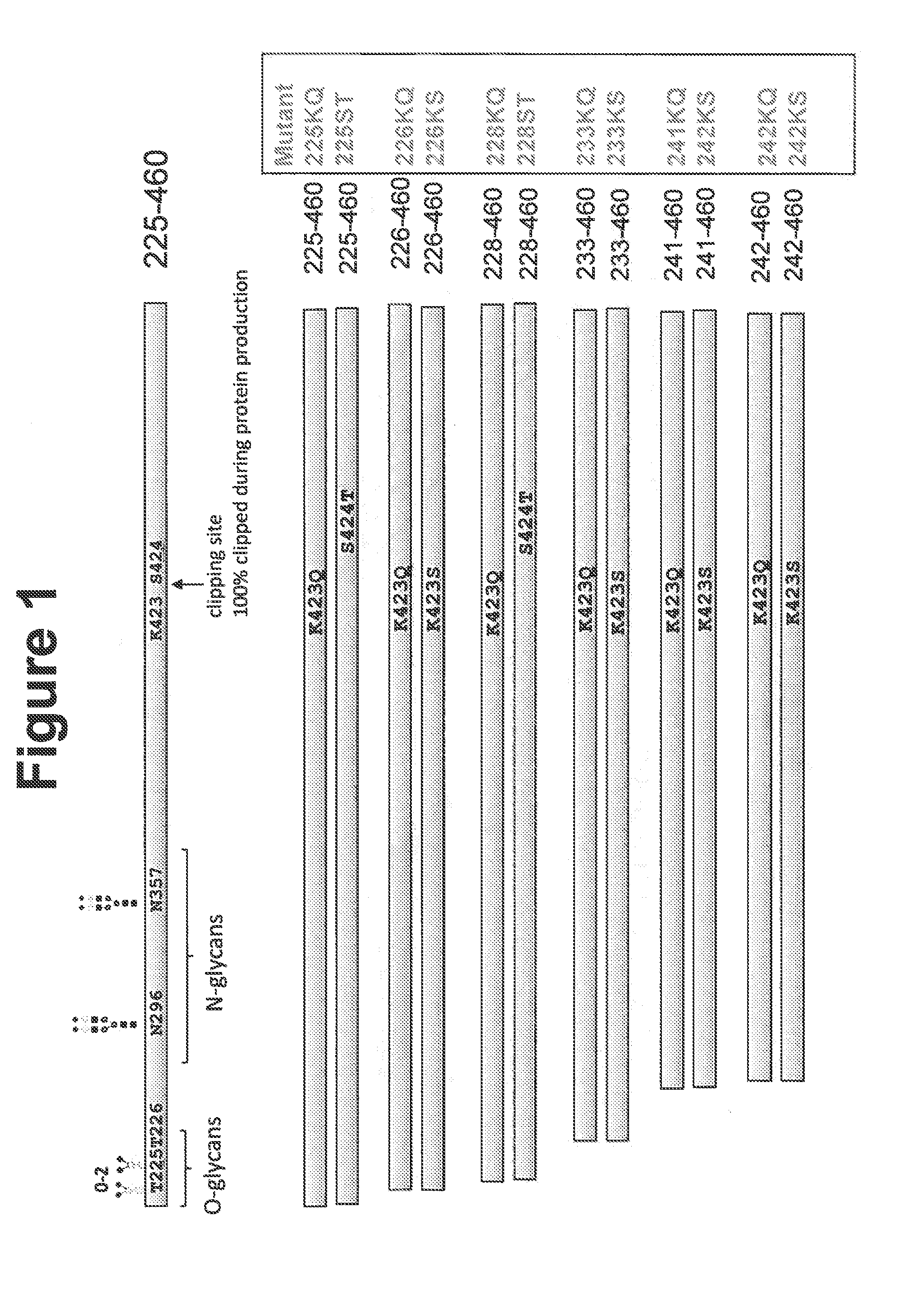 Peptides and compositions for treatment of joint damage