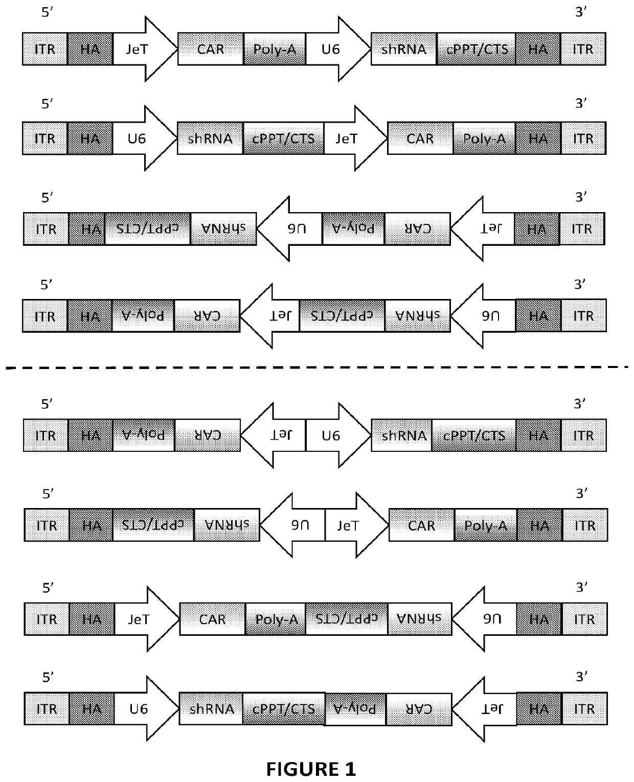 Nucleic acid molecules encoding an engineered antigen receptor and an inhibitory nucleic acid molecule and methods of use thereof