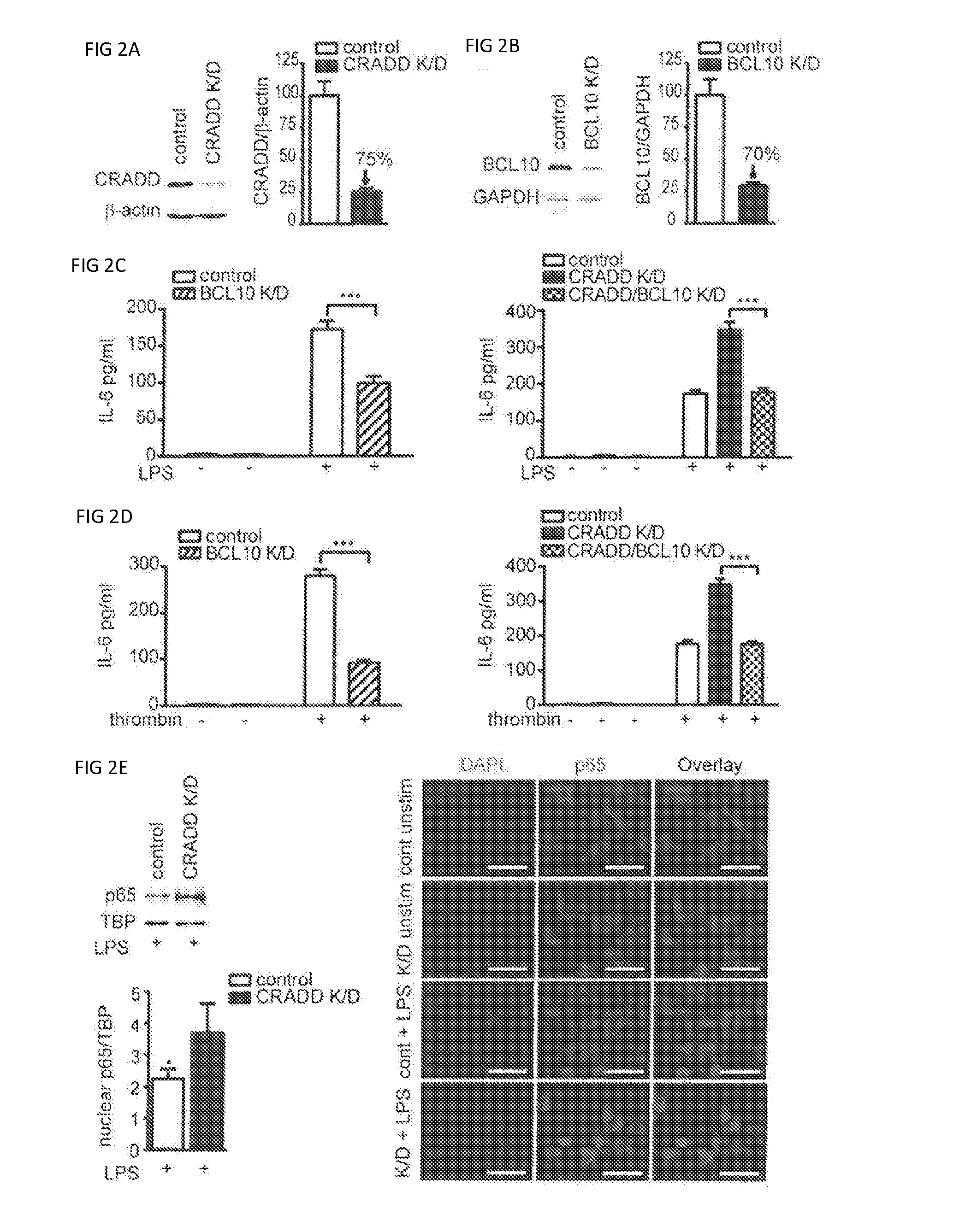 Compositions and methods for preventing and reducing inflammation and treating disorders associated with inflammation