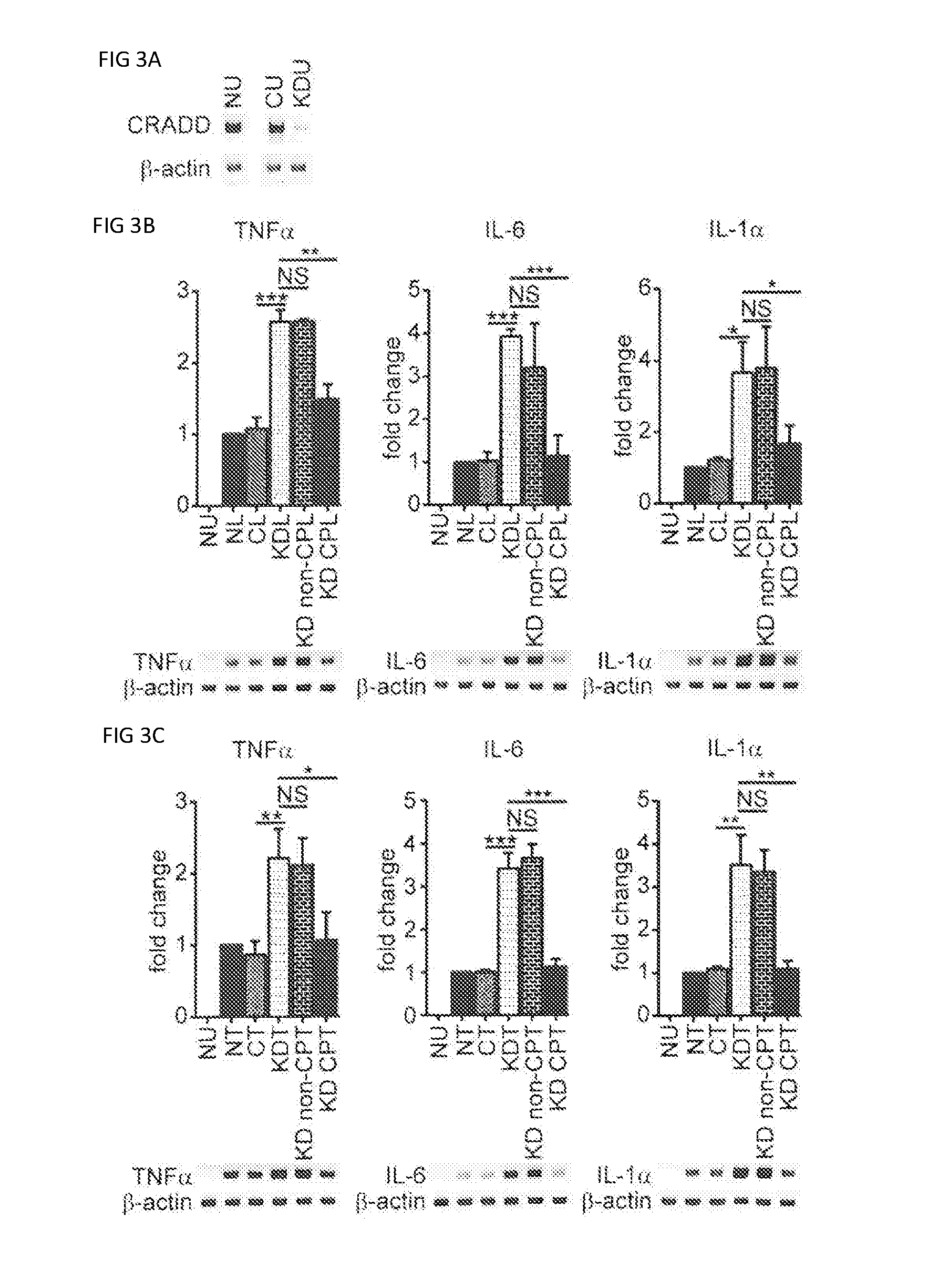 Compositions and methods for preventing and reducing inflammation and treating disorders associated with inflammation