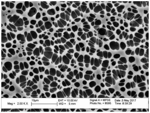 Super-tough polylactic acid-based nanocomposite material with balanced rigidity and toughness and preparation method thereof